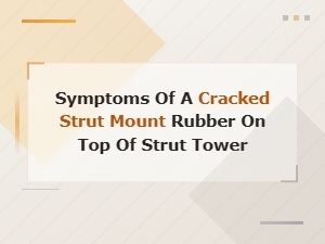 Symptoms of a Cracked Strut Mount Rubber: Signs, Repair Costs and Replacement Info